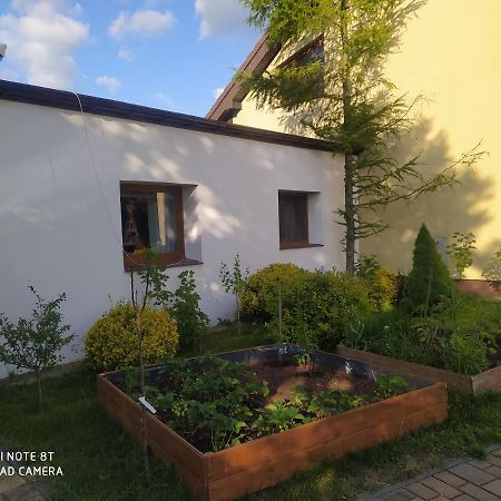 Apartament Gniezno - Mnichowo Exterior foto